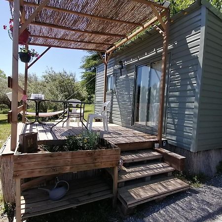 昂迪兹Tiny House Cosy公寓 外观 照片